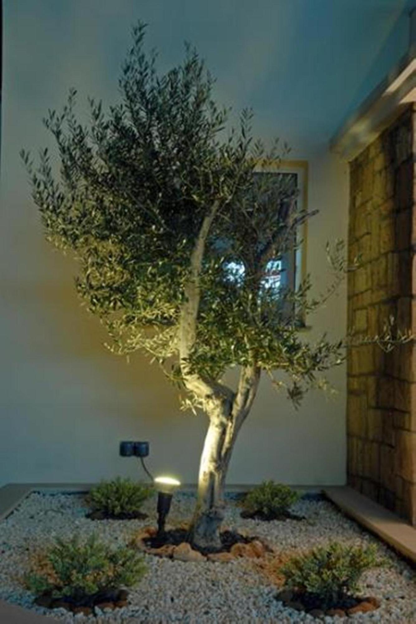 Pyramos Hotel Paphos Exterior photo